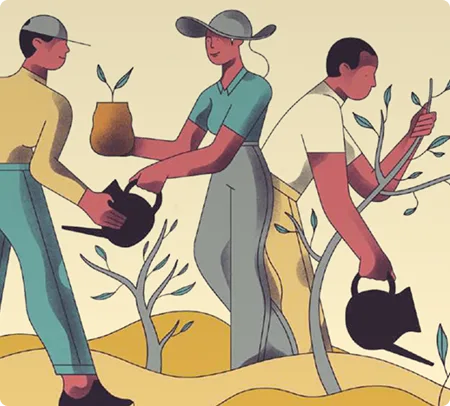 Cuadro de cultivo en fundaciones comunitarias