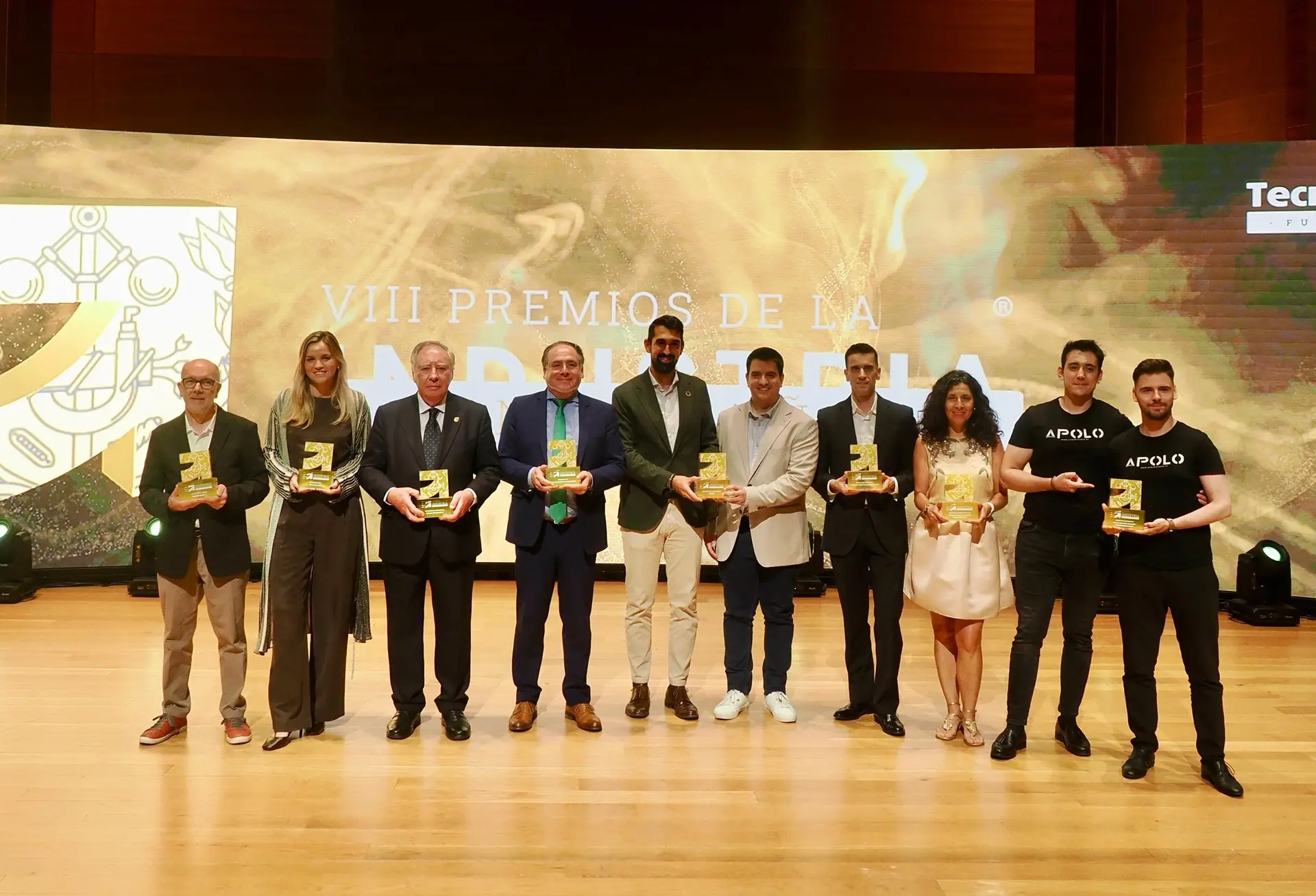 VIII Premios de la Industria en España ganadores